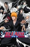 Bleach (Dub) Episode 366