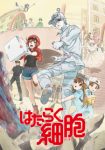 Cells at Work! Episode 13